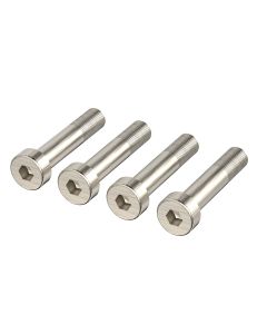 ALLEN HEAD SCREWS, 21007980