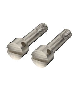 LEAD-SEALABLE SCREWS, 21007905