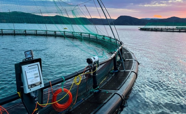 harsh environments Fibox